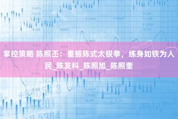 掌控策略 陈照丕：重振陈式太极拳，练身如铁为人民_陈发科_陈照旭_陈照奎